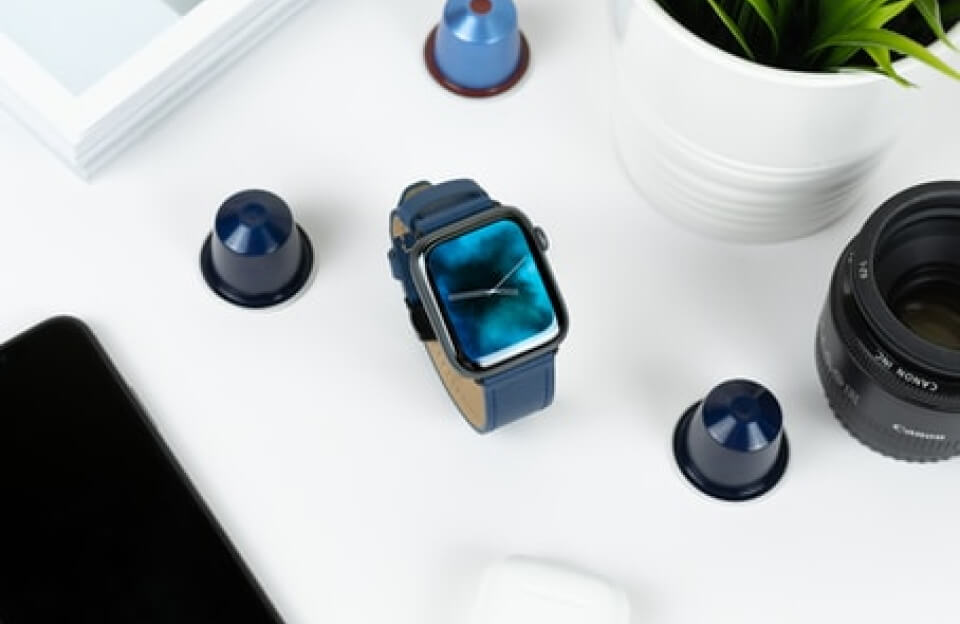 Lire la suite à propos de l’article Dogs Do Their Duty for Science